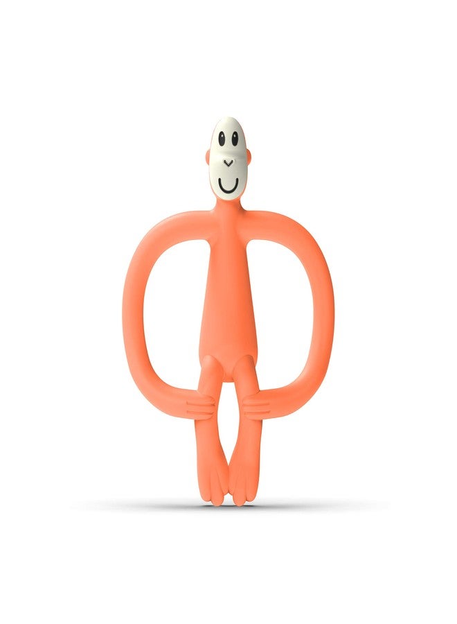 ماتشستيك مونكي قرد أعواد الثقاب، قرد عضاضة برتقالية - Image 1